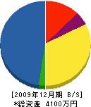 ワタナベ電器 貸借対照表 2009年12月期