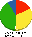 冨永建設 貸借対照表 2009年4月期