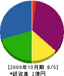 岡崎組 貸借対照表 2009年10月期