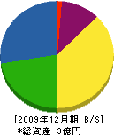 ナラサキライン 貸借対照表 2009年12月期