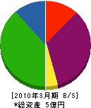 昭和薬品工業 貸借対照表 2010年3月期 昭和薬品工業 貸借対照表 2010年3月期