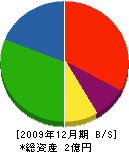 勝榮建設 貸借対照表 2009年12月期