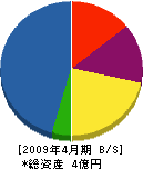 土井鉄工 貸借対照表 2009年4月期