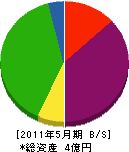 ＊川 貸借対照表 2011年5月期