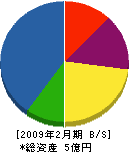 川本建設 貸借対照表 2009年2月期