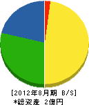 岩崎配管工事店 貸借対照表 2012年8月期