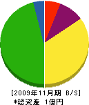 東建 貸借対照表 2009年11月期