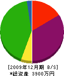 樫田塗装店 貸借対照表 2009年12月期 樫田塗装店 貸借対照表 2009年12月期