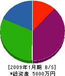 石田工務店 貸借対照表 2009年1月期