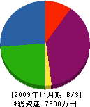 尾嶋防水 貸借対照表 2009年11月期