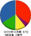 沼田建設 貸借対照表 2010年12月期
