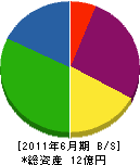 山崎建設 貸借対照表 2011年6月期