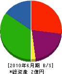 トヨタ石材 貸借対照表 2010年6月期