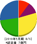村尾地研 貸借対照表 2010年5月期