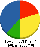 伊藤水道工業 貸借対照表 2007年12月期