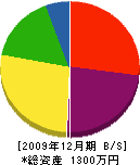古澤塗装店 貸借対照表 2009年12月期