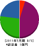 長野映研 貸借対照表 2011年5月期