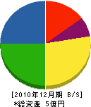 岡本設計工房 貸借対照表 2010年12月期