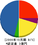 東工営 貸借対照表 2008年10月期