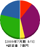 岩田建設 貸借対照表 2009年7月期