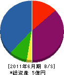 丸東製作所 貸借対照表 2011年6月期