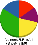 大邦電気工業 貸借対照表 2010年5月期 大邦電気工業 貸借対照表 2010年5月期