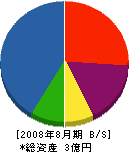 小沢建築 貸借対照表 2008年8月期