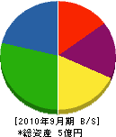 須田建設 貸借対照表 2010年9月期
