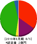 泉川園芸 貸借対照表 2010年6月期
