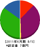 冨田工務店 貸借対照表 2011年6月期