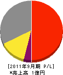 川崎電機工業所 損益計算書 2011年9月期