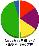 中光商会 貸借対照表 2009年12月期