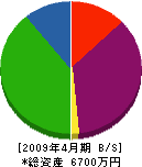 大澤鉄工所 貸借対照表 2009年4月期