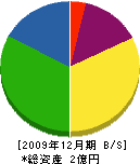 坪井 貸借対照表 2009年12月期