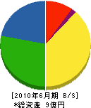 大内田産業 貸借対照表 2010年6月期