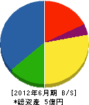 兼茂 貸借対照表 2012年6月期