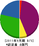 寺島製材所 貸借対照表 2011年9月期
