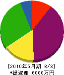 ミヤネ技研 貸借対照表 2010年5月期