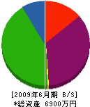 鈴木建設 貸借対照表 2009年6月期