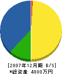 岩田工務店 貸借対照表 2007年12月期