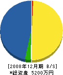 タネヤ電機工業所 貸借対照表 2008年12月期