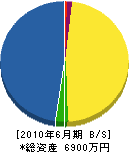 太田電気商会 貸借対照表 2010年6月期