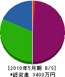 石田電工 貸借対照表 2010年5月期