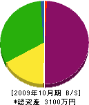 小山田電設 貸借対照表 2009年10月期