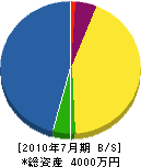 大竹商会 貸借対照表 2010年7月期 大竹商会 貸借対照表 2010年7月期