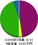 松本水道工事 貸借対照表 2009年9月期