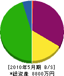 平嶋電気工事 貸借対照表 2010年5月期
