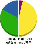 加藤塗装店 貸借対照表 2009年9月期
