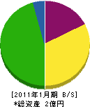 松和 貸借対照表 2011年1月期