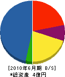 フリクト日本 貸借対照表 2010年6月期